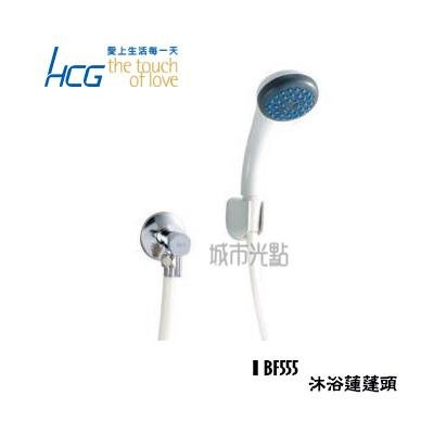 _含稅【城市光點】現貨 HCG 和成 沐浴蓮蓬頭 衛生沖洗器 全新品/原廠貨 BF555