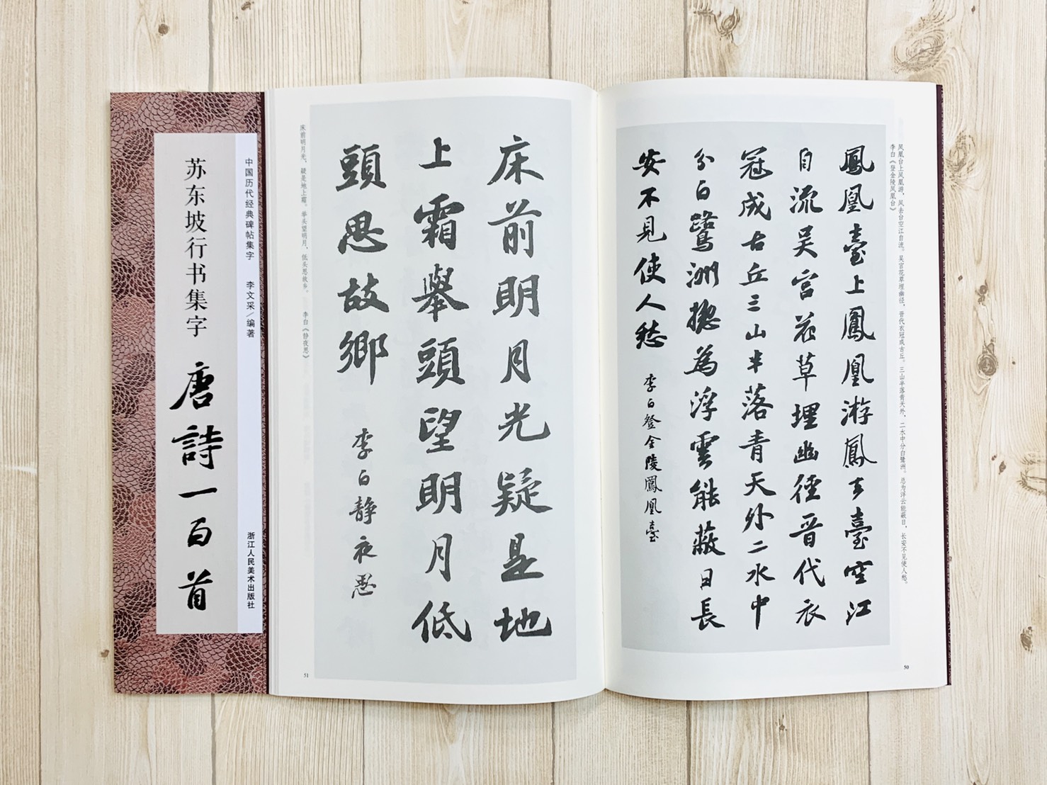 正大筆莊《蘇東坡行書集字唐詩一百首》中國歷代經典碑帖集字浙江人民