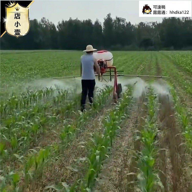 自走式農噴灑車農用四輪打車乘坐式小麥玉米除蟲噴霧機大型DYJ3539