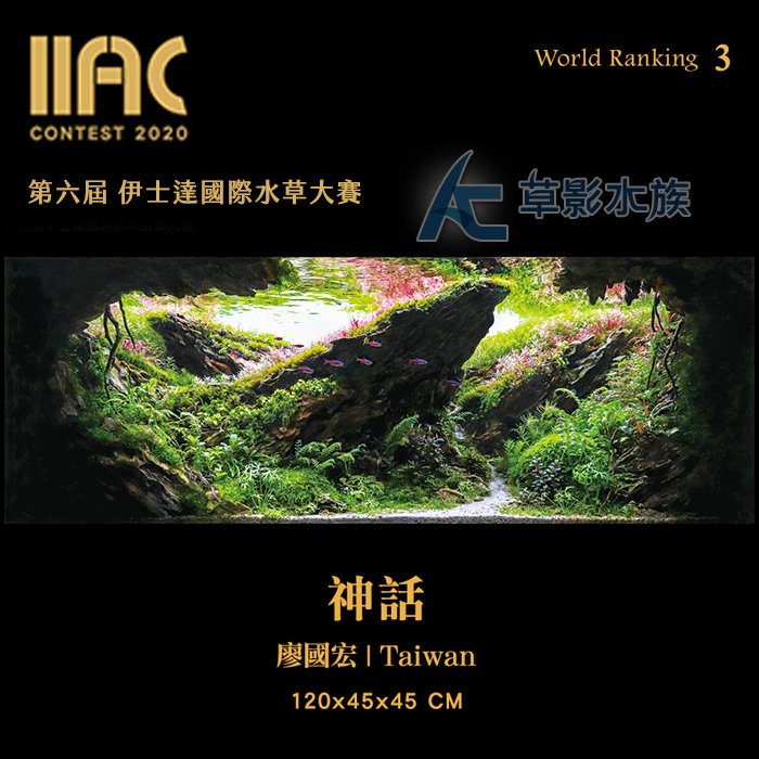 Ac草影 Iiac 第六屆國際水草造景大賽作品集 一本 Bta Yahoo奇摩拍賣