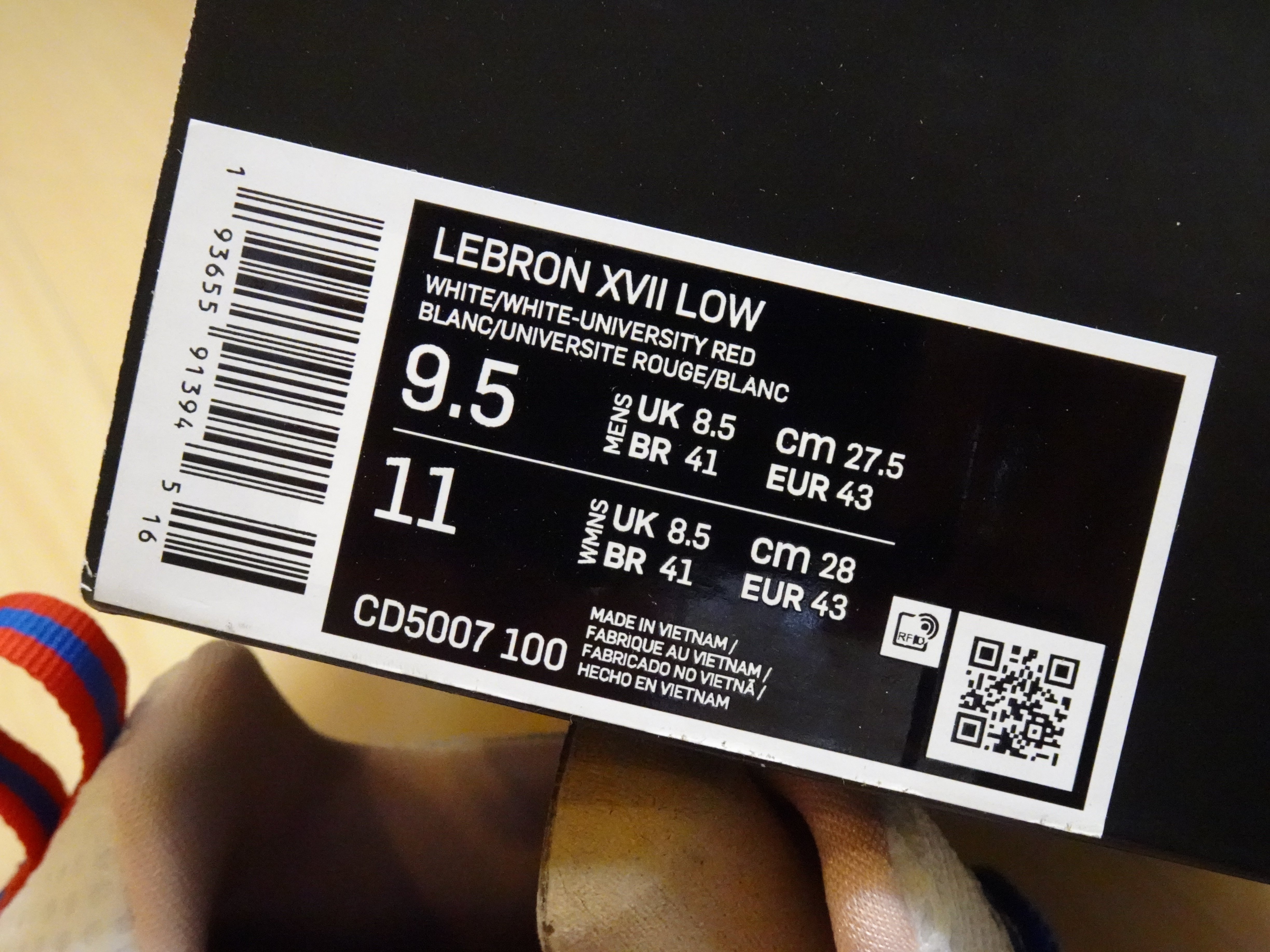 NIKE LEBRON 17 LOW TUNE SQUAD球隊邦尼兔蘿拉兔Space Jam怪物奇兵