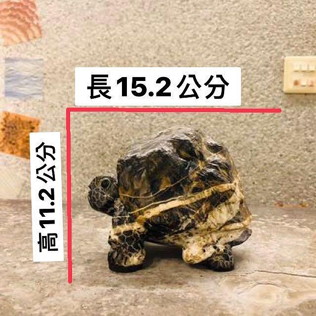 商品主圖-8