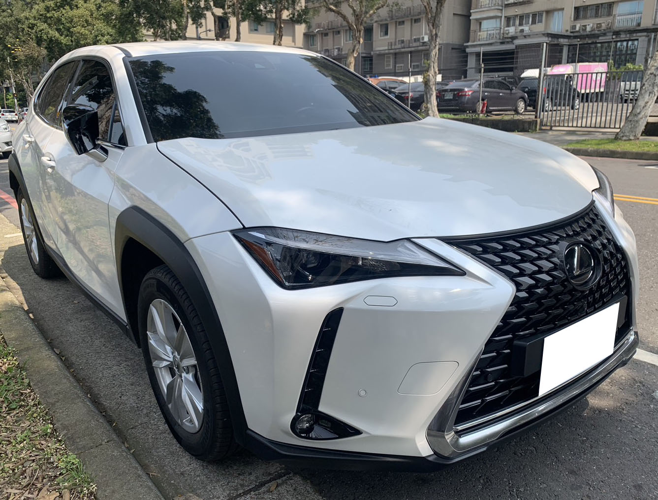 2019 Lexus 凌志 Ux