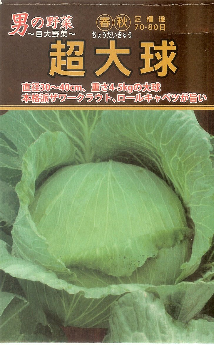 大包裝蔬菜種子l125 超大球甘藍 重達4 5公斤 日本最大的高麗菜品種 Yahoo奇摩拍賣