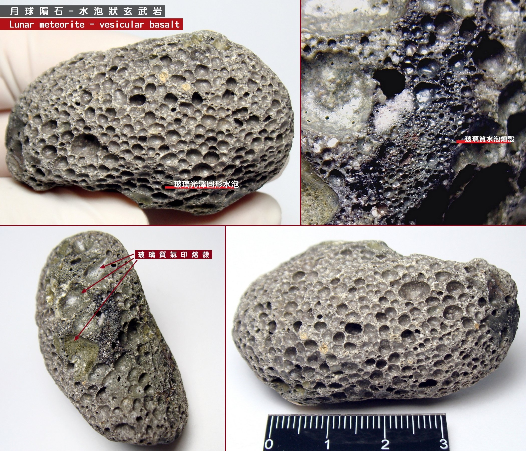 妙麗】月球氣泡狀玄武岩隕石/Vesicles Basalt Lunar Meteorite/NASA 