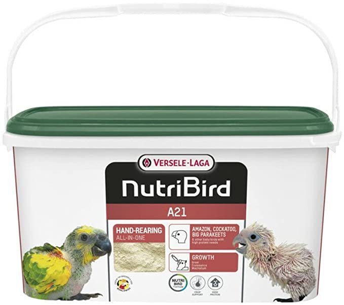 鳥用ハーネス リード ペット用品 ペットグッズ?オウム 鸚鵡 インコ ハト 縄 ロープ 調節可能 天使 羽 翼 かわいい お散歩 お出かけ トレーニン