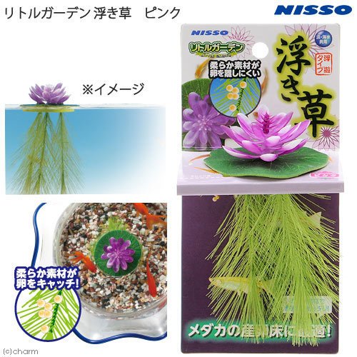 微笑的魚水族 日本nisso 漂浮水草産卵床 浮草粉紅色 鬥魚 躲藏 蓮花 荷花 浮萍n Nap 5 Yahoo奇摩拍賣