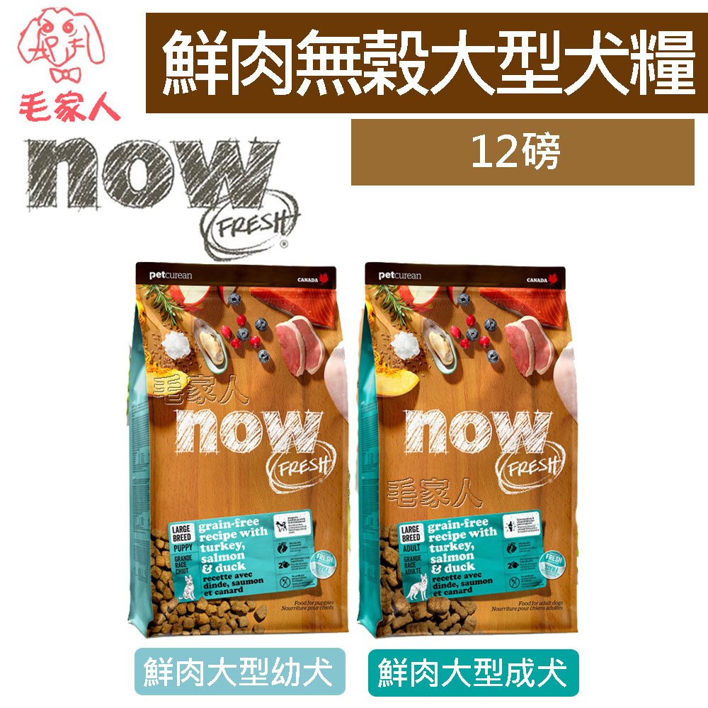 毛家人-Now! 鮮肉無穀天然犬糧 大型犬系列【鮮肉大型幼犬/鮮肉大型成犬】12磅(5.45kg),狗飼料