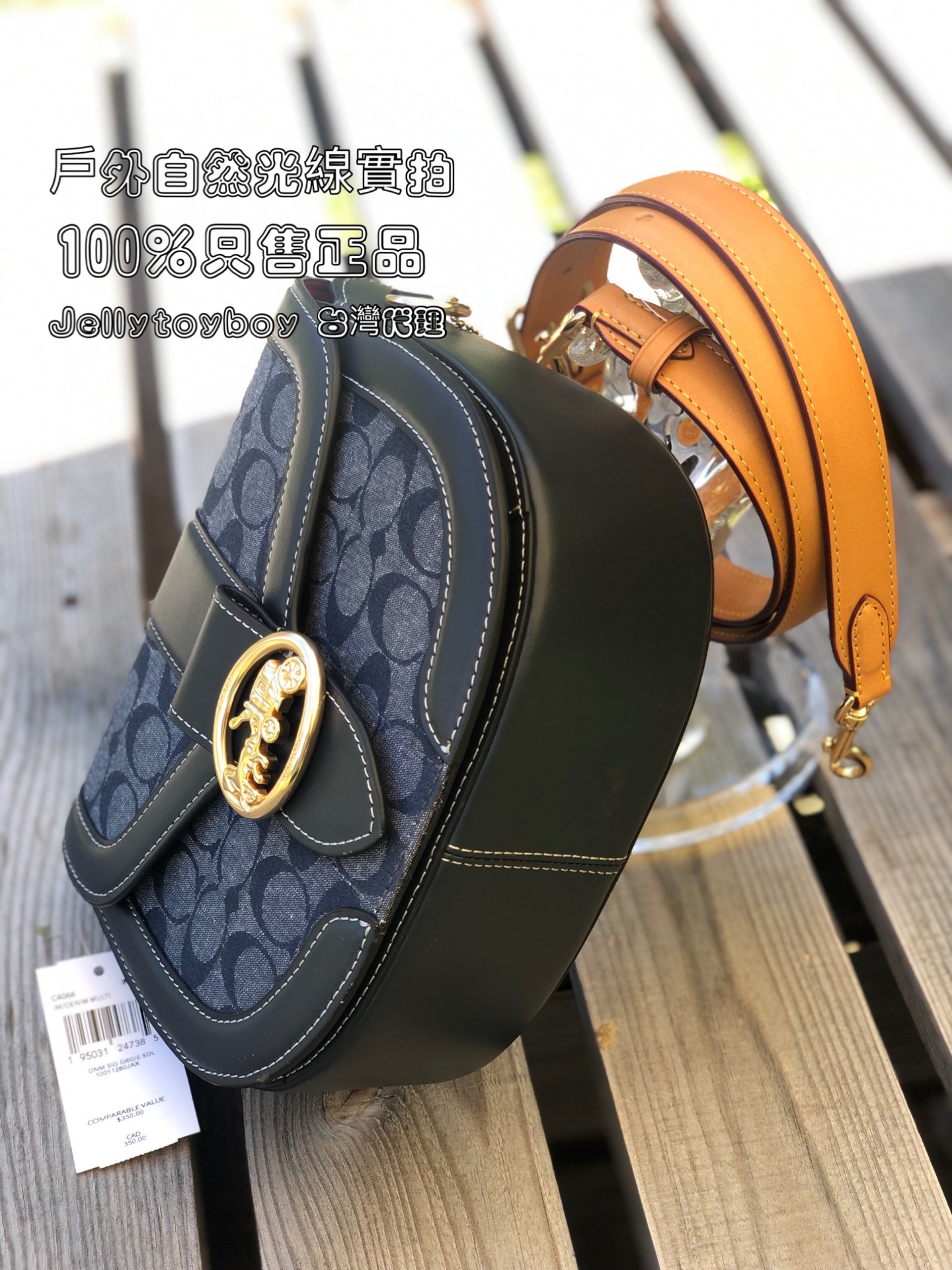 COACH GEORGIE SADDLE BAG C4066