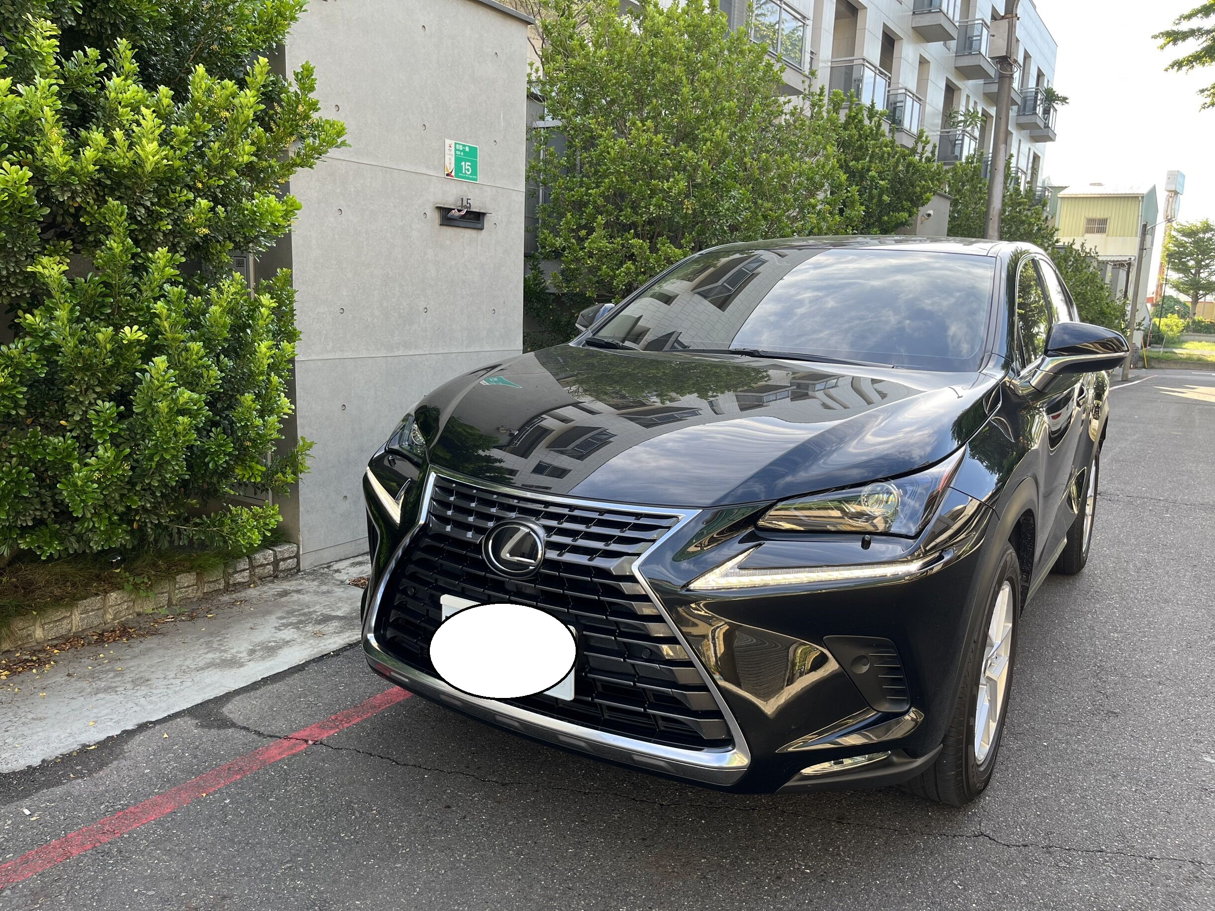 2019 Lexus 凌志 Nx