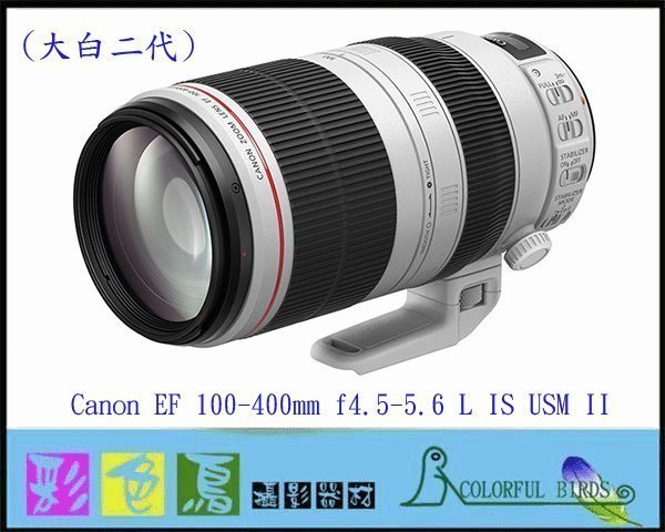 彩色鳥(租鏡頭 租相機 R5 R6)租 Canon EF 100-400mm f4.5-5.6L IS II USM