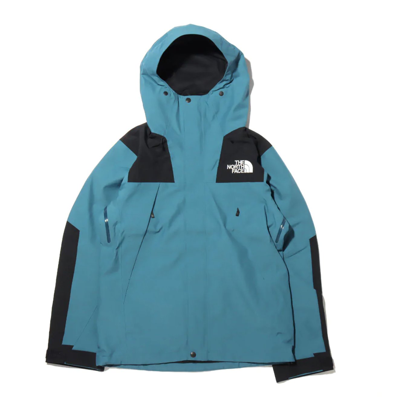 THE NORTH FACE MOUNTAIN JACKET GORE-TEX 連帽外套np61800。太陽選物