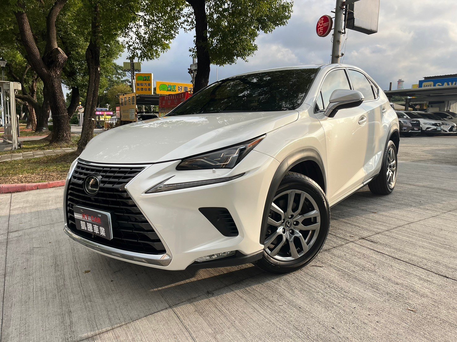 2018 Lexus 凌志 Nx