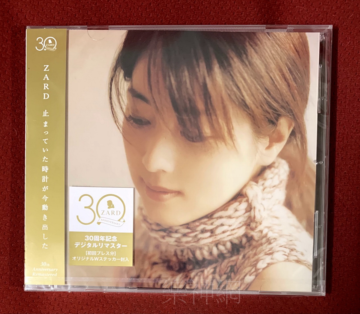 ビジネスバック 激レア ZARD 坂井泉水 非売品 CD 止まっていた時計が今動き出した