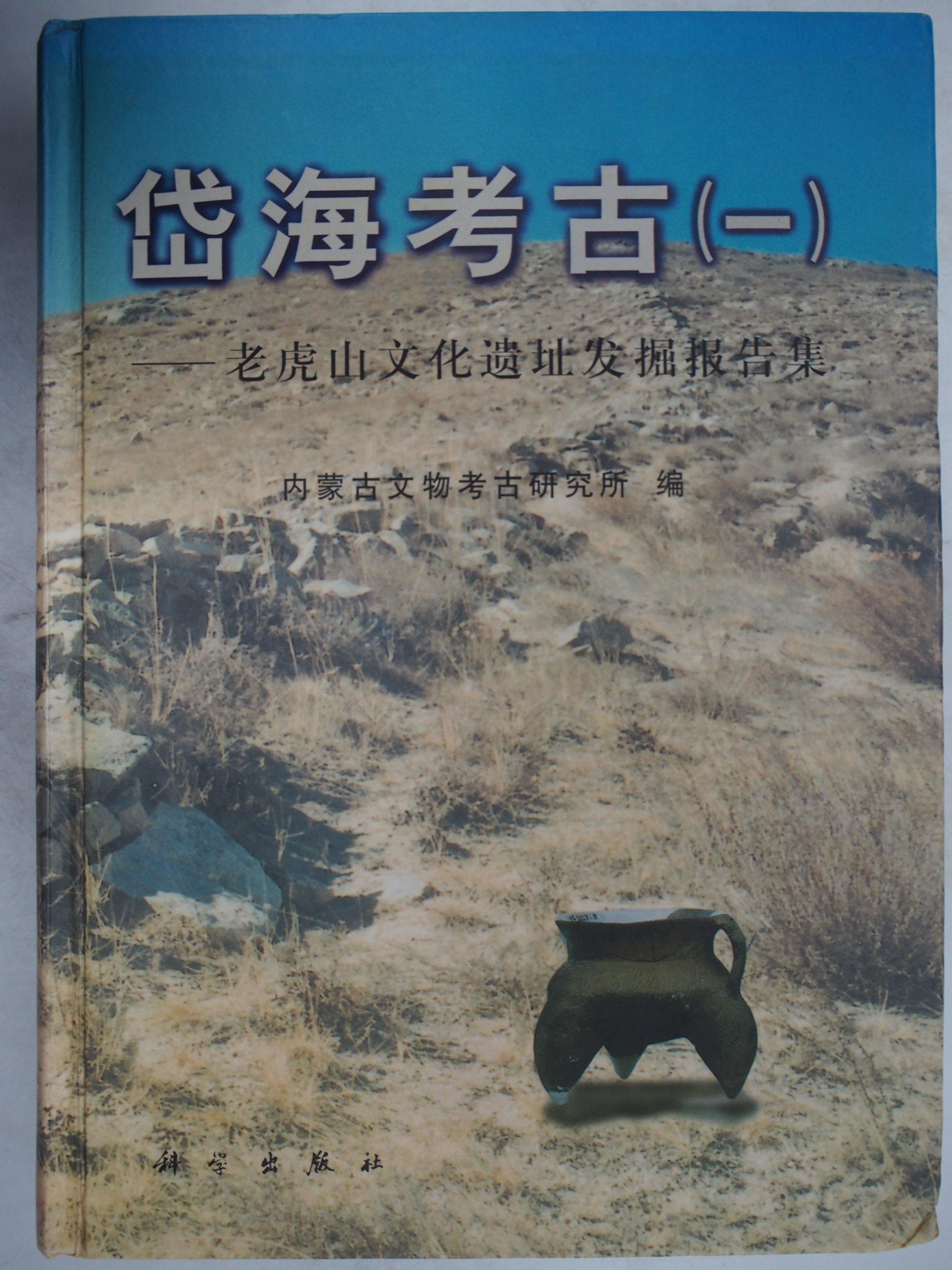 流行に 鹿児島大学考古学論文集Archaeology from the south 3冊 ...