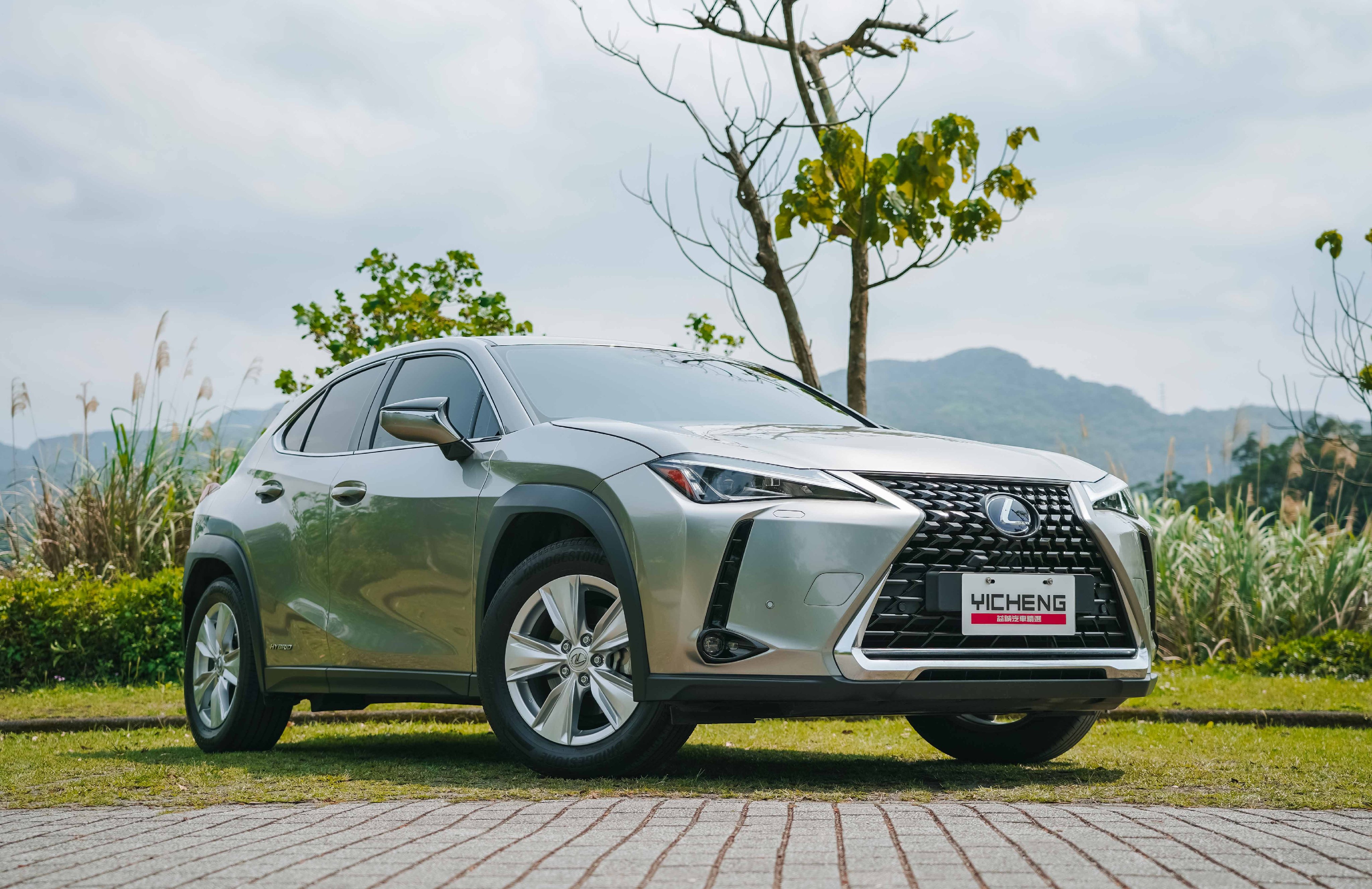 2020 Lexus 凌志 Ux