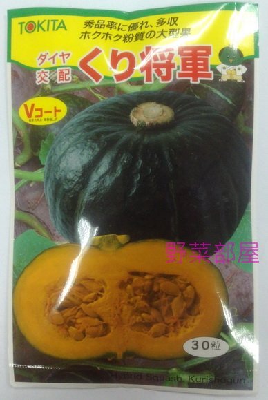 【野菜部屋~】K34 將軍栗子南瓜種子1顆 , 栗子南瓜 , 早生品種 , 每包15元~