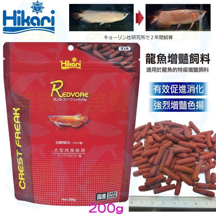 美賣高夠力hikari 龍魚增豔飼料0g 上浮大型肉食魚紅龍金龍銀帶紅尾金益生菌配方 Yahoo奇摩拍賣