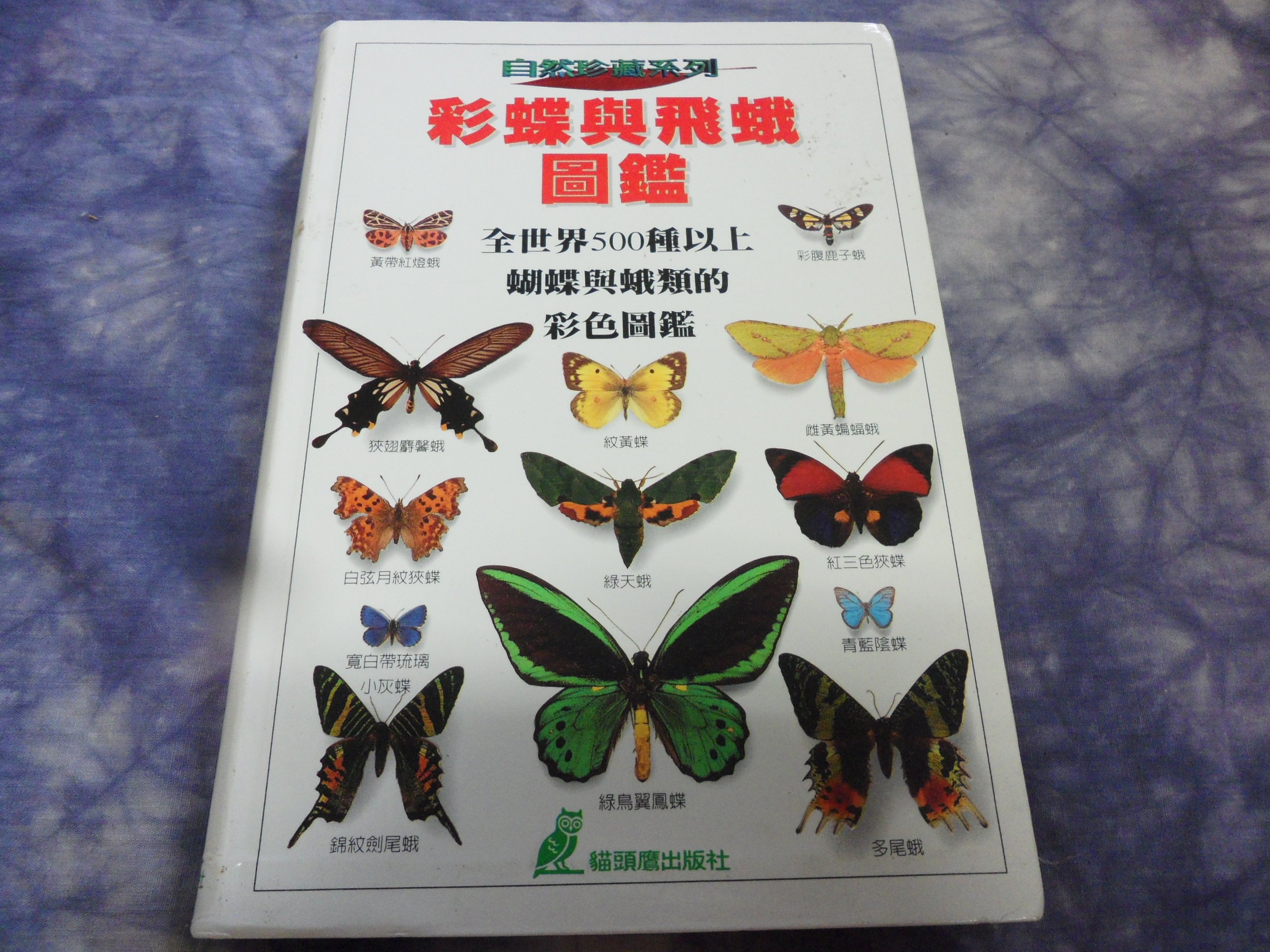 彩虹小館】D1科學~自然珍藏系列彩蝶與飛蛾圖鑑全世界500種以上的蝴蝶與 