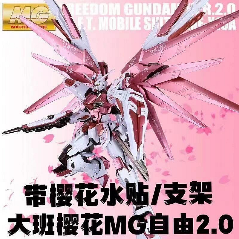 大班 MG 1/100 自由鋼彈 2.0 櫻花粉色 櫻花自由 組裝模型 6650