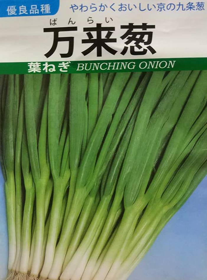 日本萬來蔥種子一包50元| Yahoo奇摩拍賣