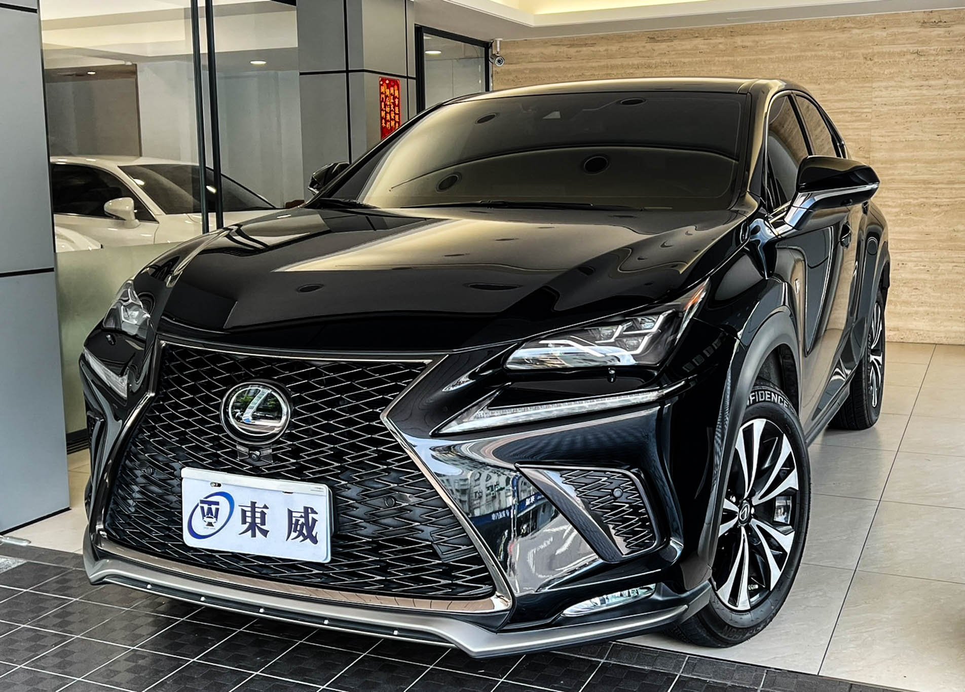 2019 Lexus 凌志 Nx