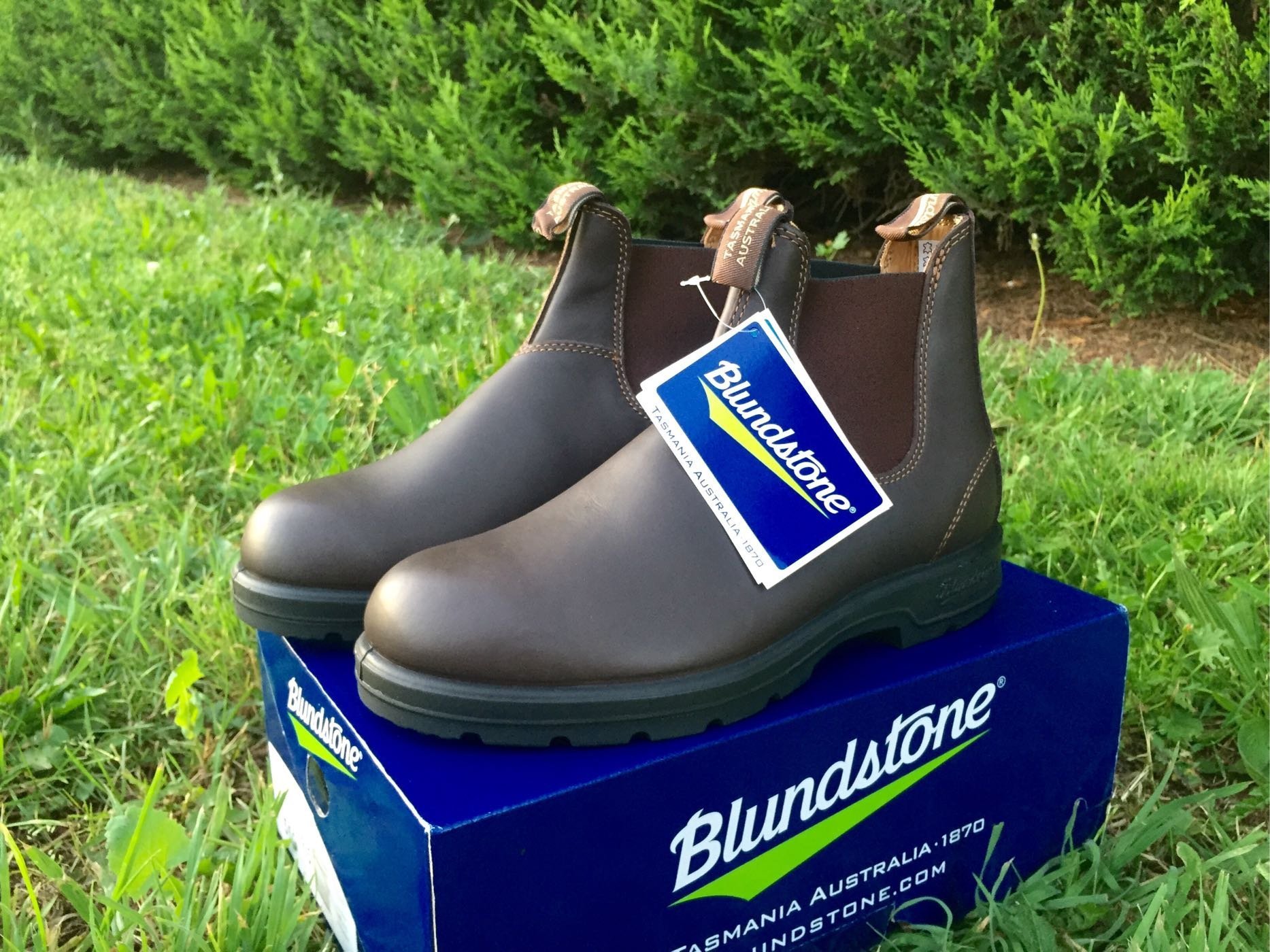 Blundstone boots 650