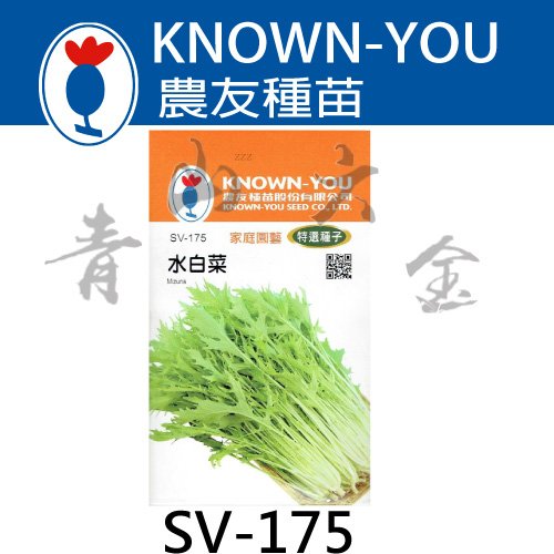 青山六金 含稅農友sv 175 水白菜京水菜蔬菜蔬果新鮮種子混合色家庭園藝栽培種苗約10克 Yahoo奇摩拍賣