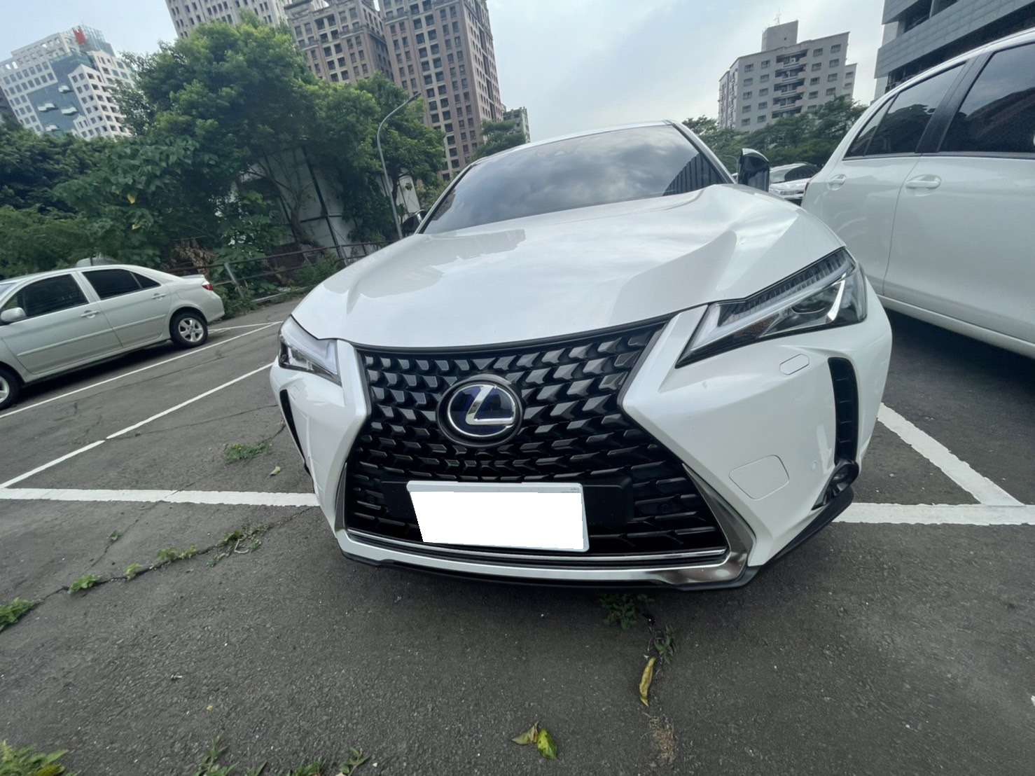 2019 Lexus 凌志 Ux