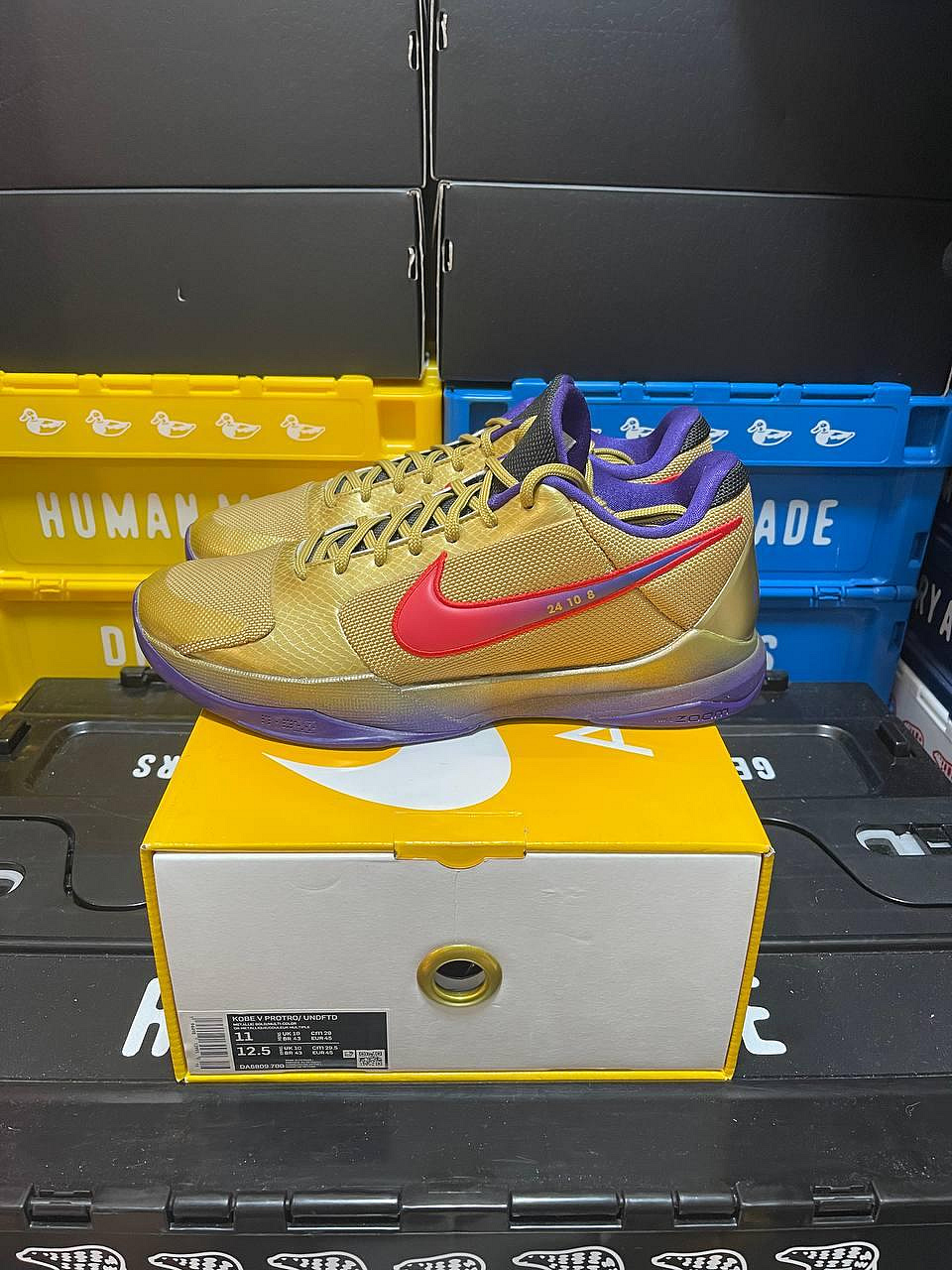 【BIG SIZE SELECT】Nike Kobe 5 Protro Undefeated Hall of Fame