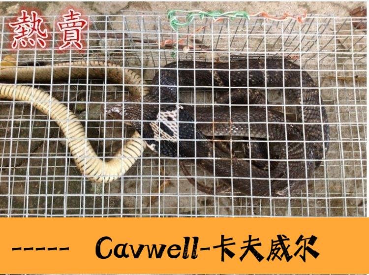 Cavwell-特大規格網 雙倒須 專業捕蛇籠 捕蛇器 裝蛇籠 抓蛇籠誘蛇DT202-可開統編