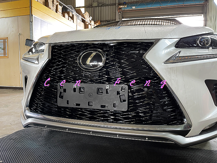 涔峰ＣＦ☆LEXUS NX NX200 NX300 小改款後專用 F-Sport 樣式 F版 水箱護罩 蜂巢式 水箱罩