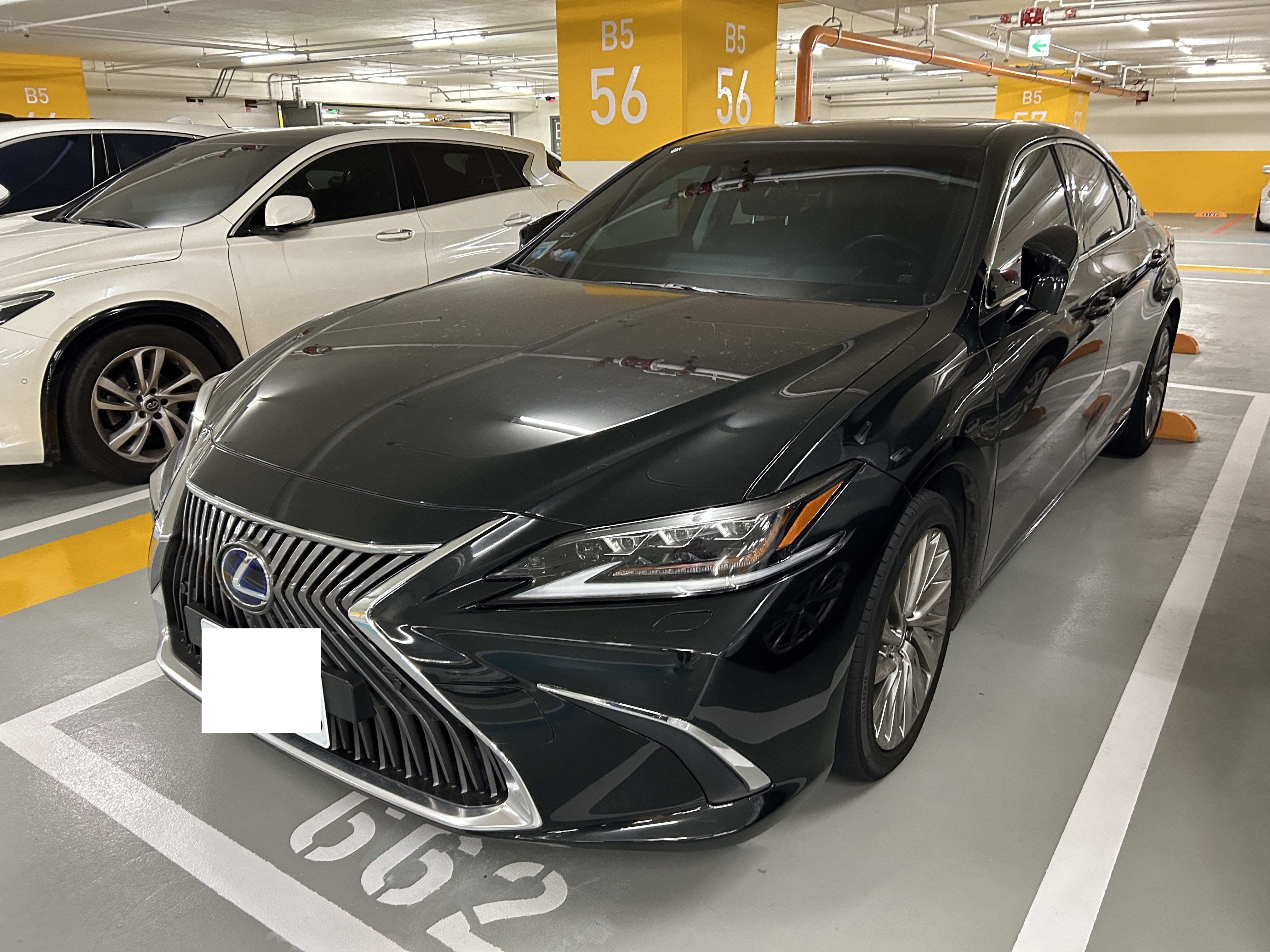 2019 Lexus 凌志 Es