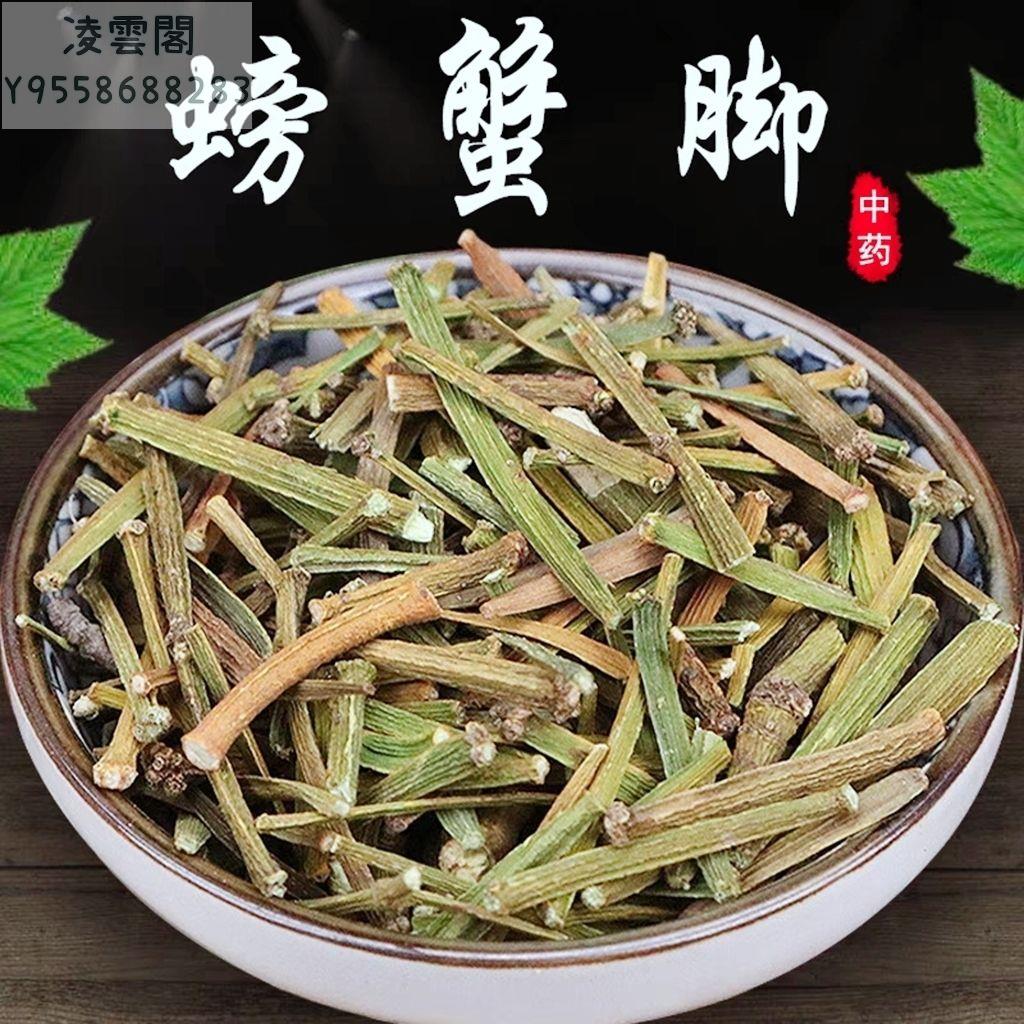 云南景邁茶區普洱茶螃蟹腳普洱茶古樹特級碎螃蟹腳茶樹寄生