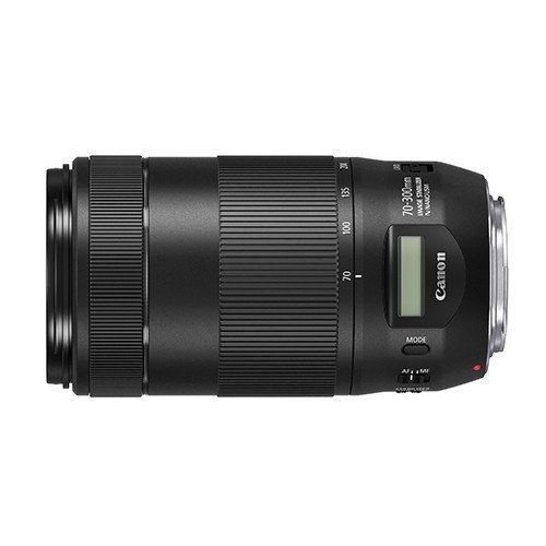 小青蛙數位Canon EF 70-300mm f/4-5.6 IS II USM 公司貨鏡頭單眼鏡頭