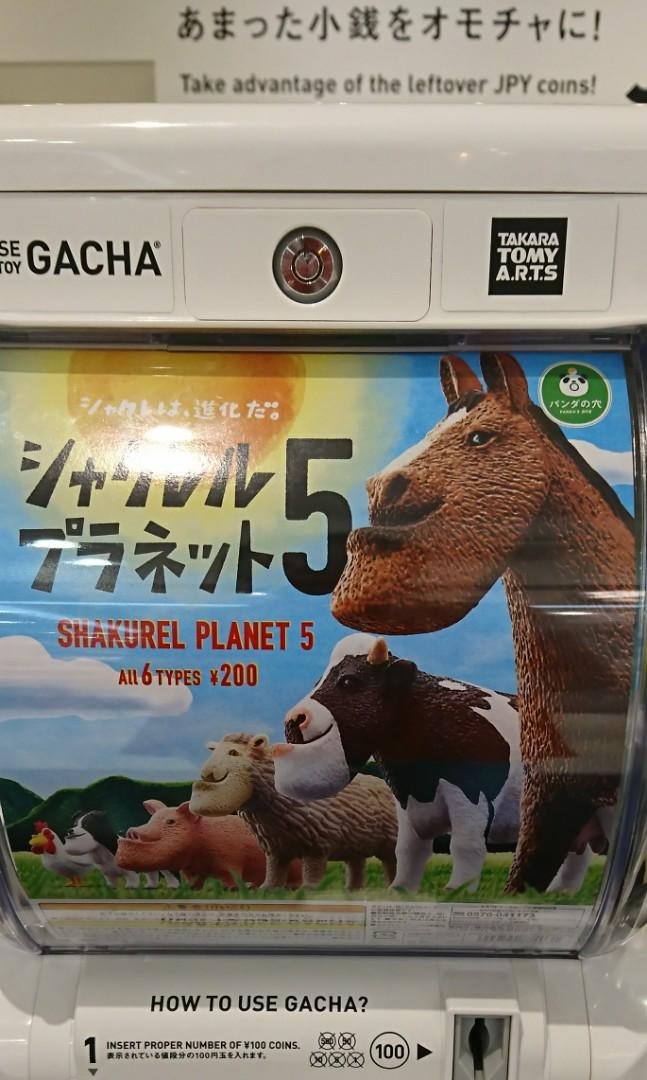 【田心齊】5戽斗動物 戽斗星球 羊 厚道 第五代 綿羊 動物星球 轉蛋 扭蛋