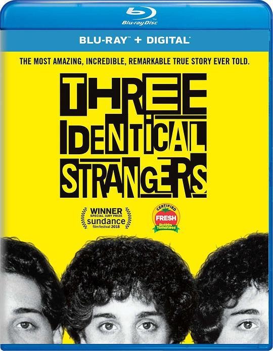 孿生陌生人   THREE IDENTICAL STRANGERS （2018）