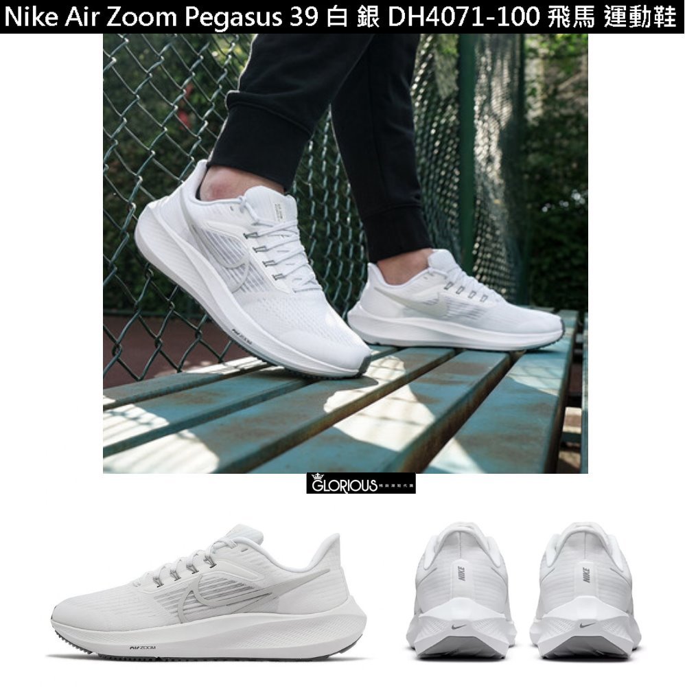 免運特賣Nike Air Zoom Pegasus 39 白銀DH4071-100 飛馬慢跑鞋【GL代購