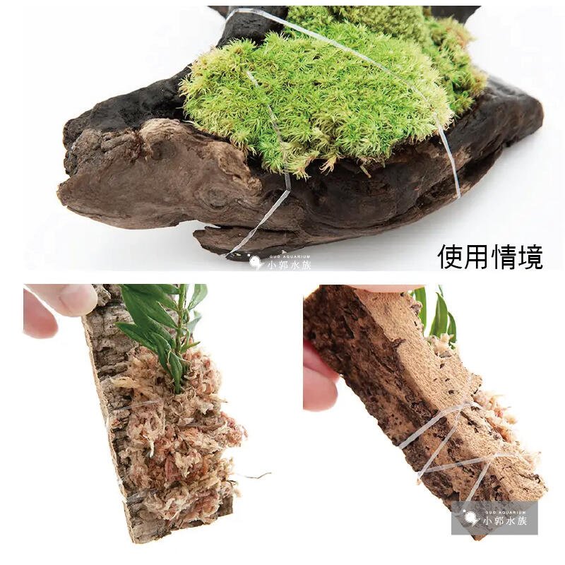 小郭水族 日本 植物造景用橡皮筋 透明 入 水草雨林植物苔蘚蘭花固定沉木綁水草 Yahoo奇摩拍賣