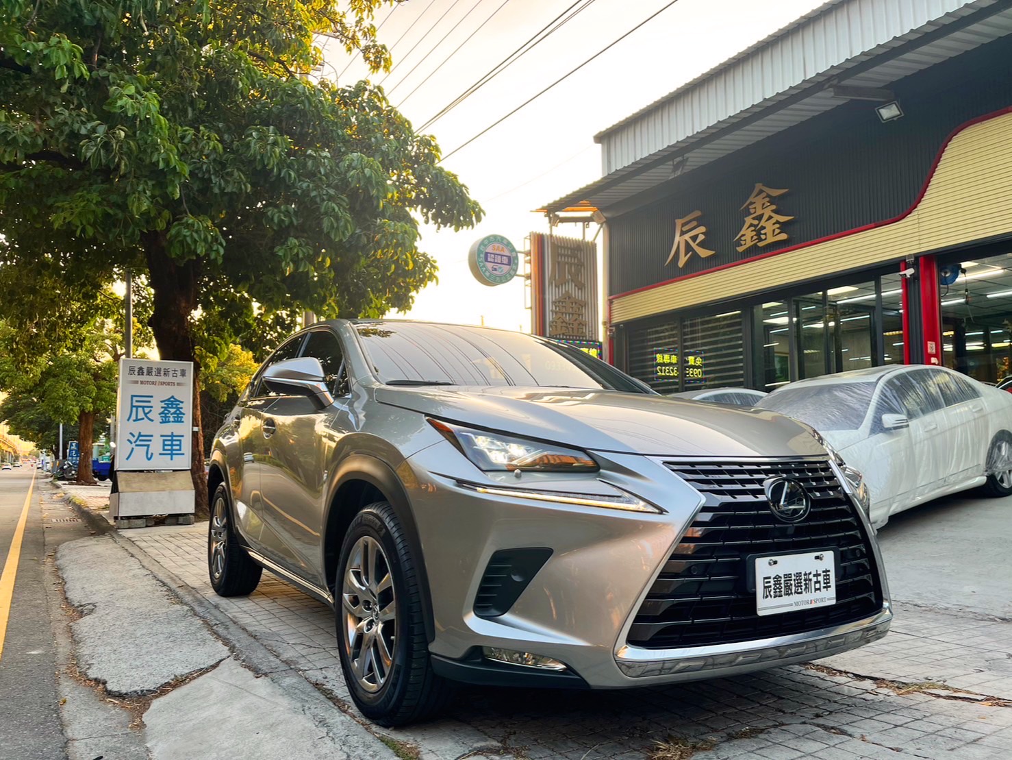 2019 Lexus 凌志 Nx