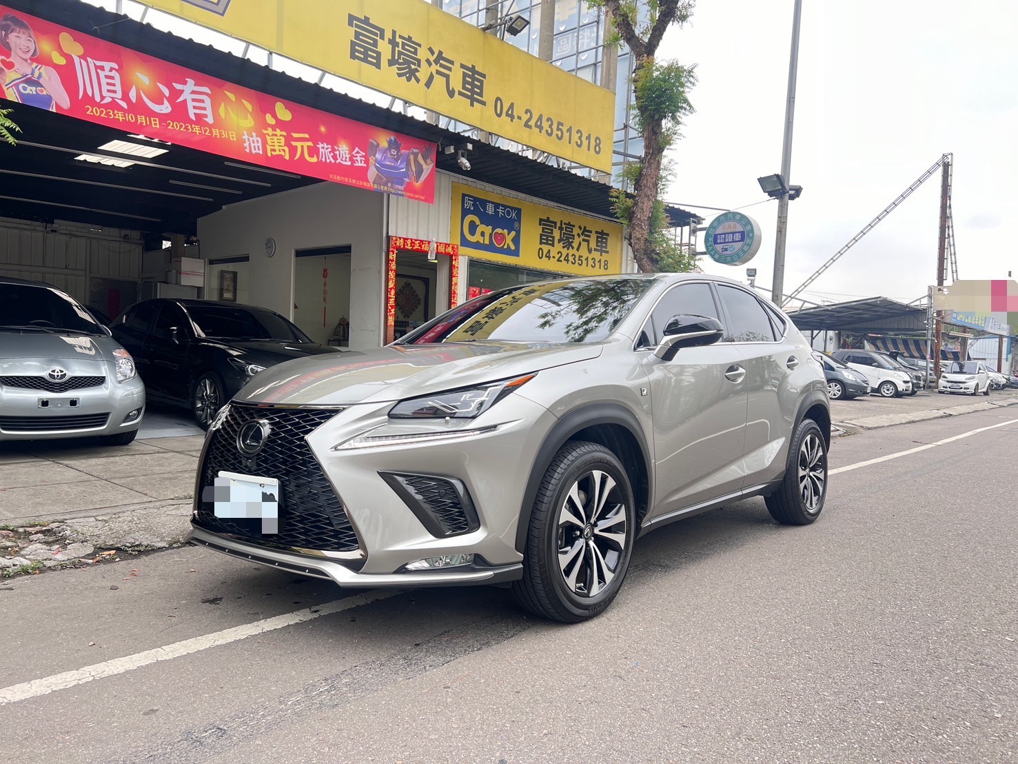 2020 Lexus 凌志 Nx