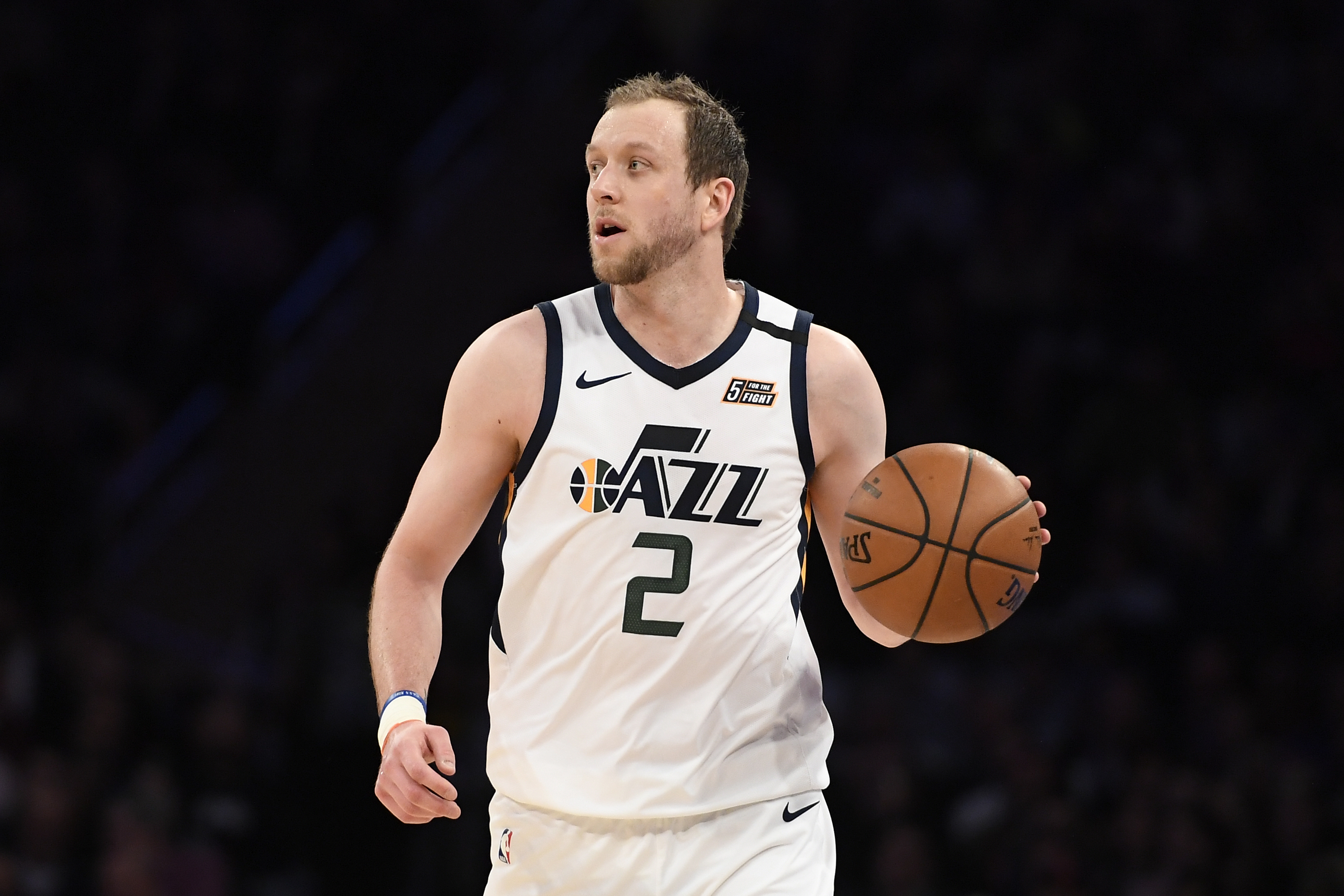 joe ingles