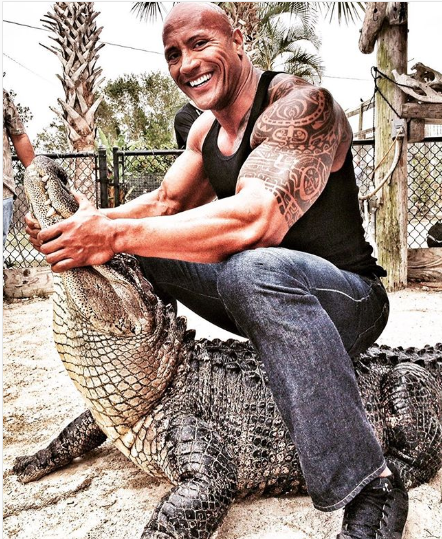 The Rock slammed for throwback photo with a gator