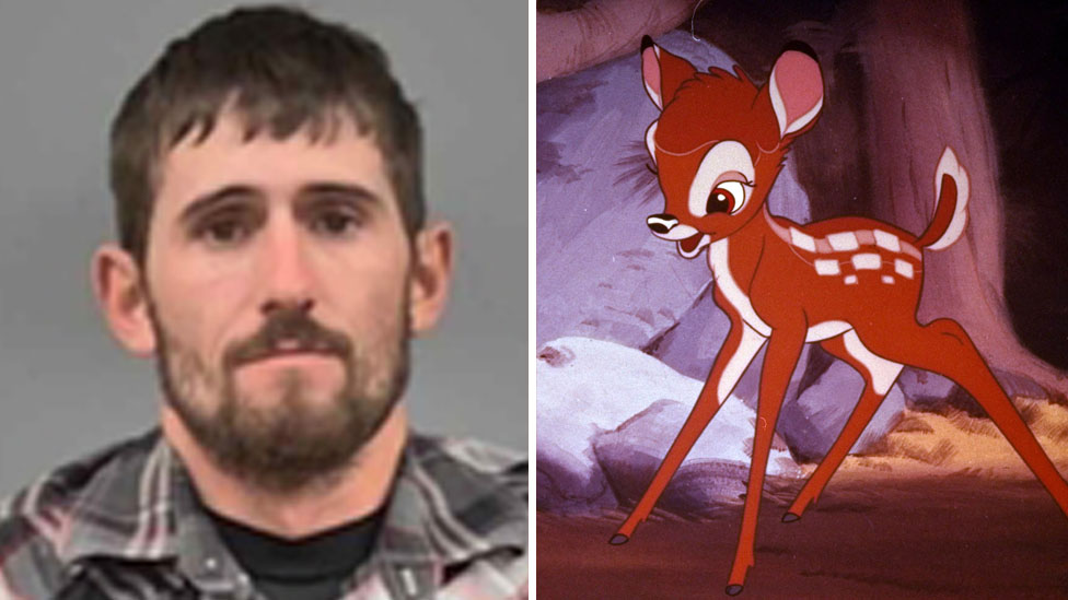 Missouri Deer Poacher Ordered To Watch Bambi In Jail Judge Rules 5315