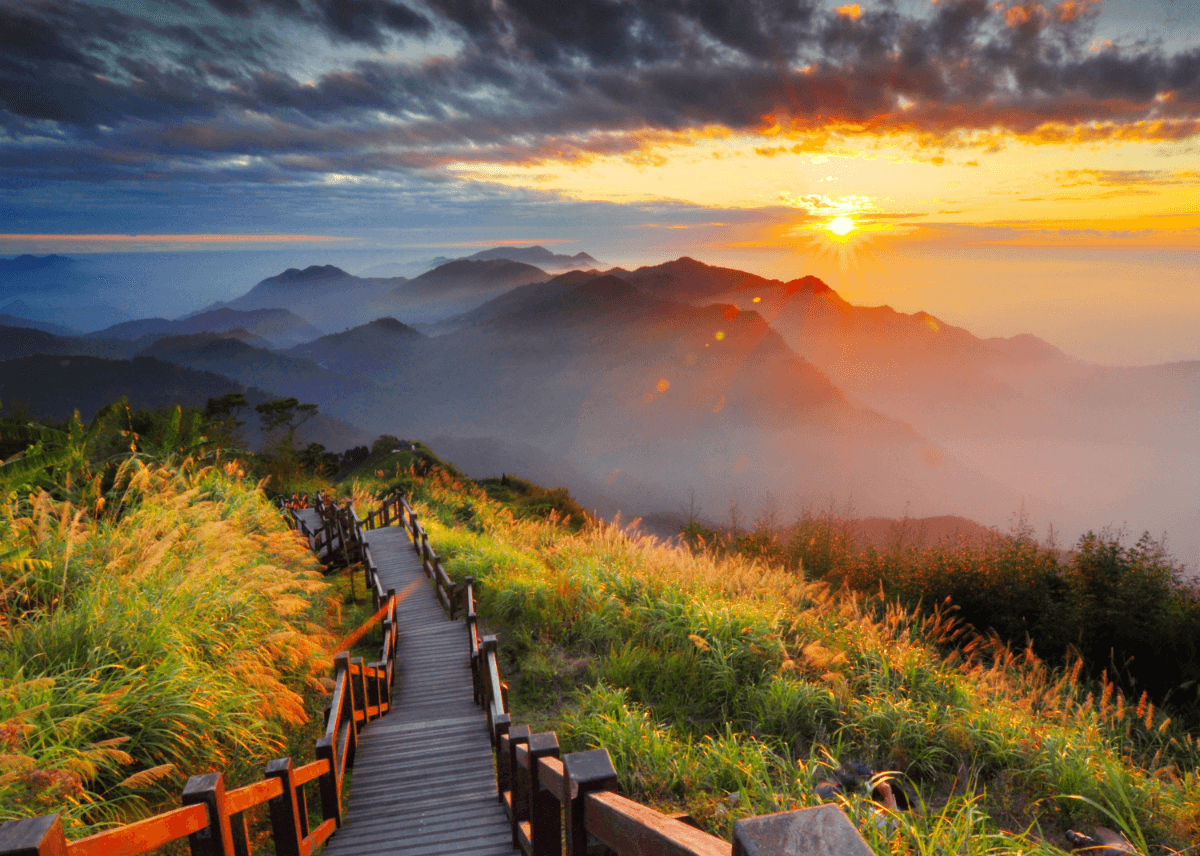 2020阿里山国家风景区-旅游攻略-门票-地址-问答-游记点评，嘉义旅游旅游景点推荐-去哪儿攻略