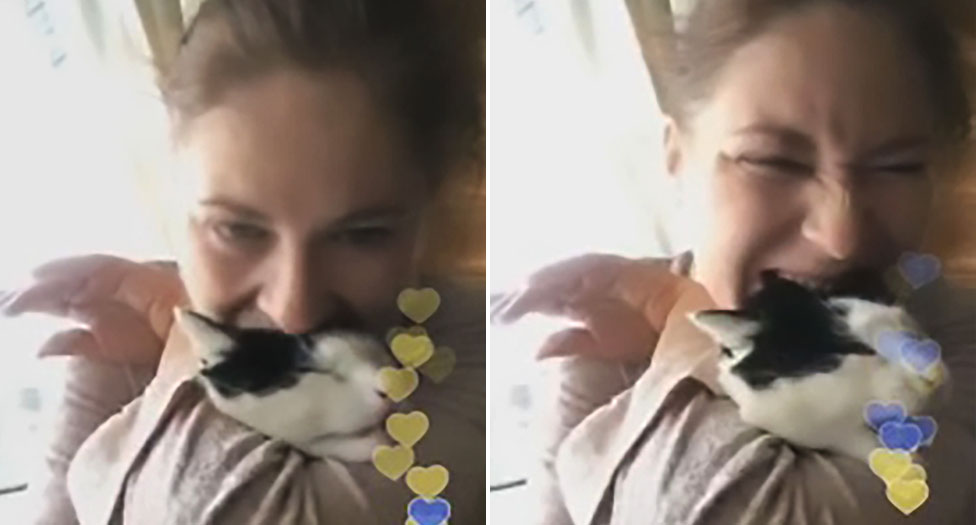 Russian Woman Livestreams Biting Cat In Revenge Attack