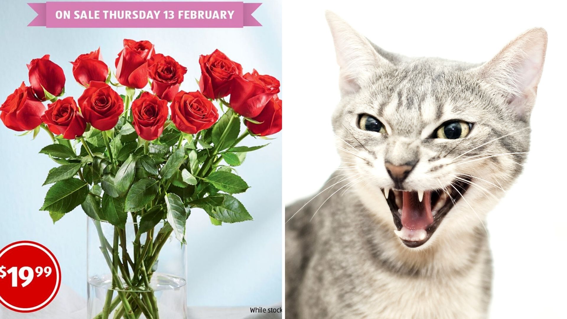 20 Aldi Valentine S Day Roses Cause Outrage