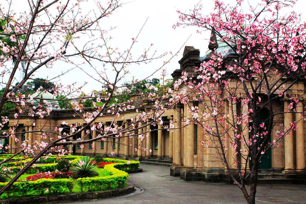 賞花之旅 走訪自來水園區 春櫻古蹟限定美景 旅遊 Yahoo奇摩行動版