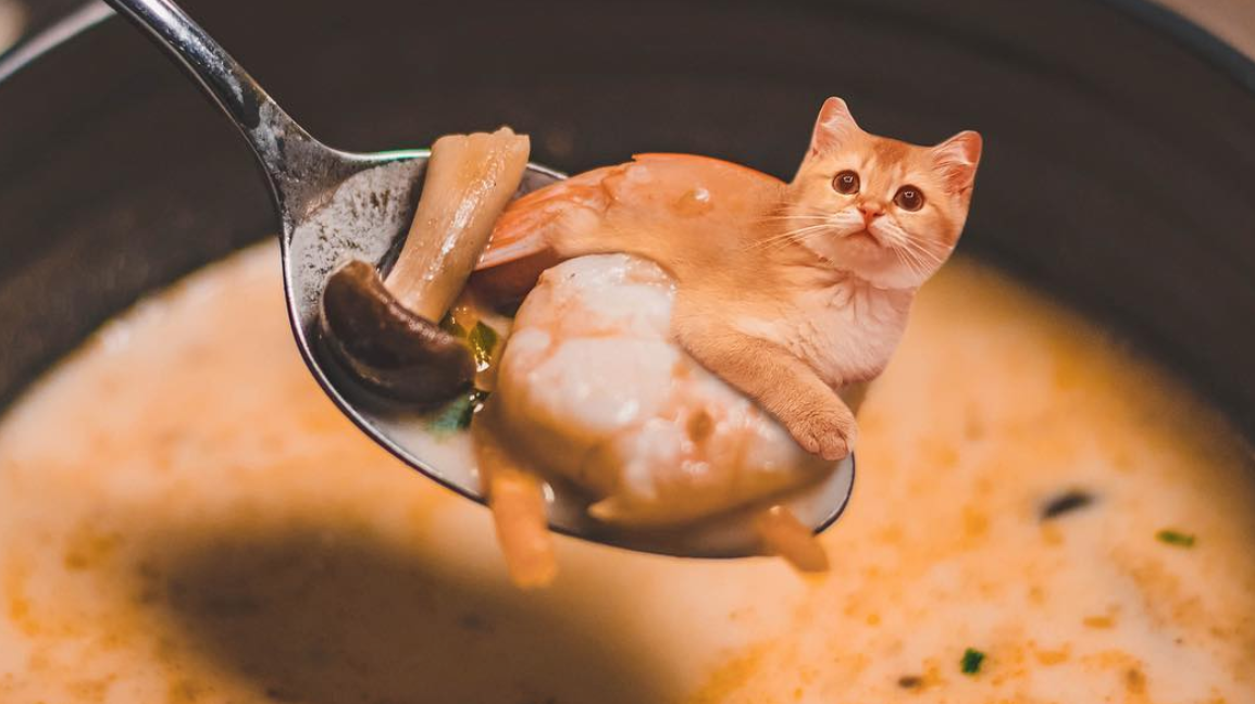 Вареное мясо кошке. Суп с котом. Суп с кортом. Кошачий суп. Коты и еда.