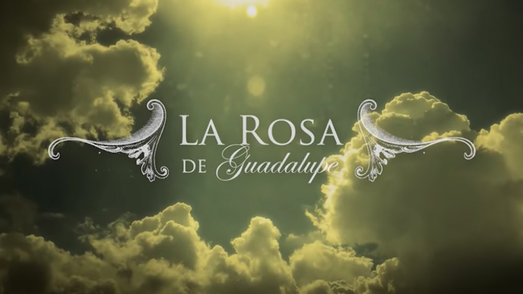 La Rosa De Guadalupe | peacecommission.kdsg.gov.ng